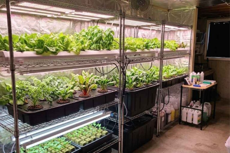 11 Indoor Hydroponic Gardening Ideas